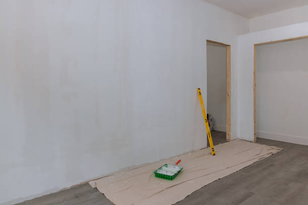 Best Drywall for Remodeling  in Memphis, FL